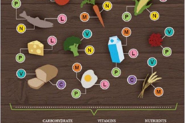 Nutrition: Choosing a Dog Food