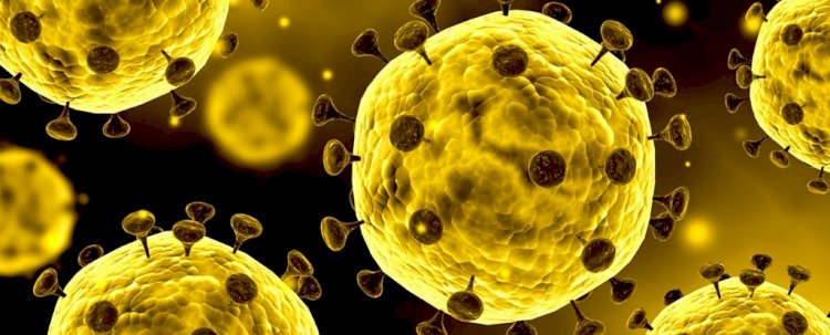 Coronavirus: Getting the Facts Straight and What You Should Know and Do! 