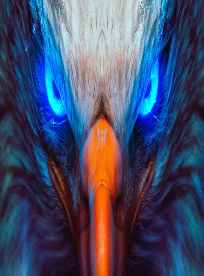 The Caucasian Eagle – the Eagle that ate Prometheu